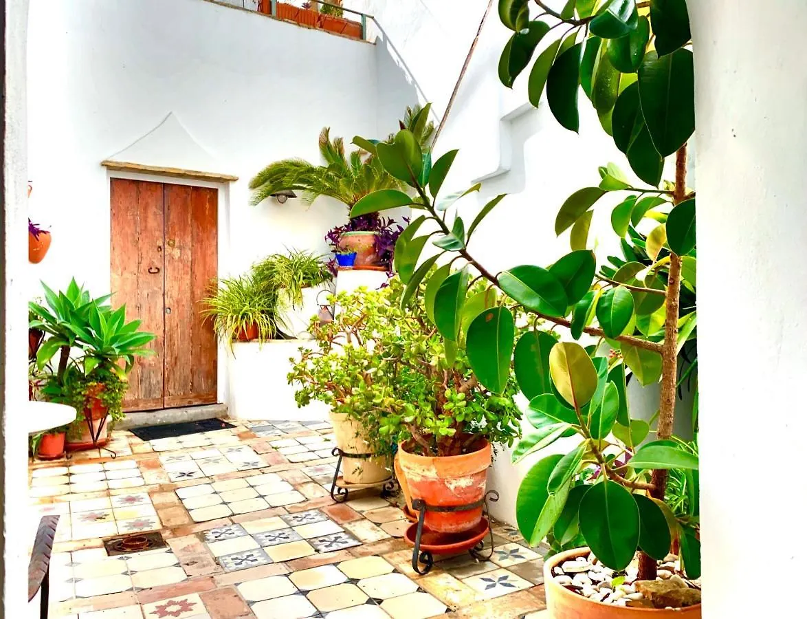 베예데라프론테라 Casa La Fuente C Casas Vejer Debra 아파트